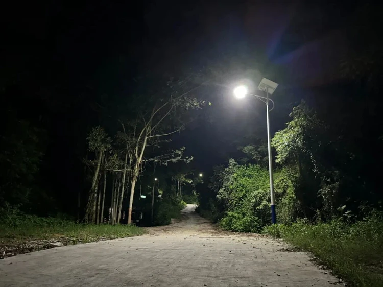 solar street light 100W